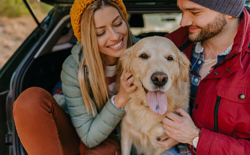 Photo of a young couple and their dog sitting the trunk of a car on a beautiful autumn day.